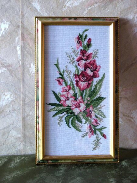 гладиолусы 71