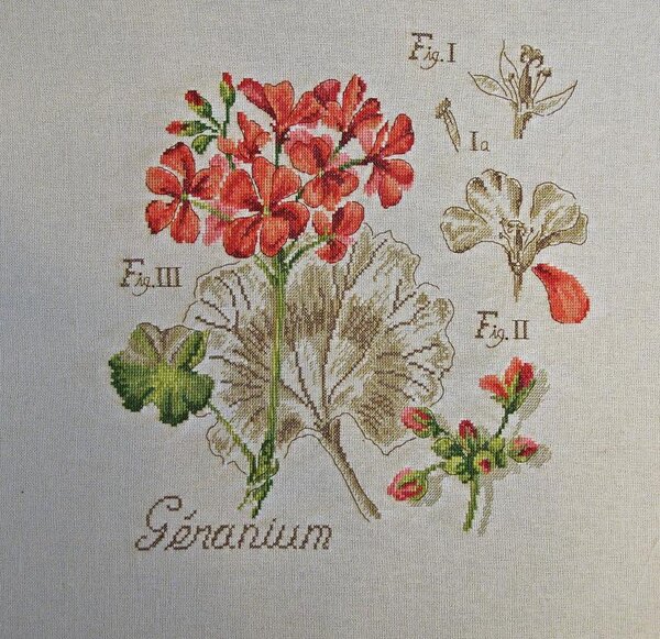 Герань от Vеrоniquе Еngingеr из серии "Ботаника"