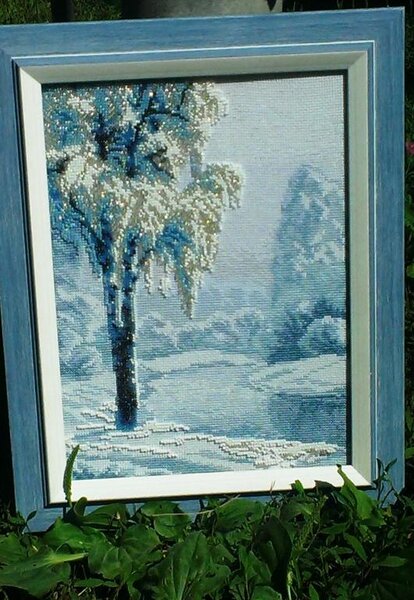 IMAG0810 Береза.Чаривна мить.