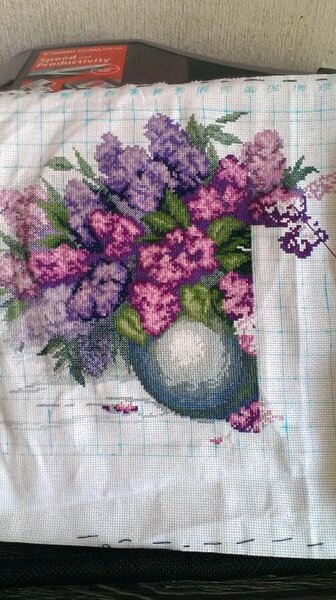 IMAG0824 Сирень. Чар. мить