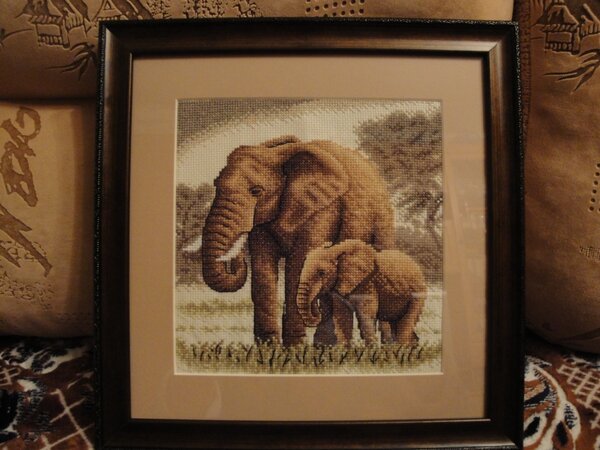 Слоны Панна