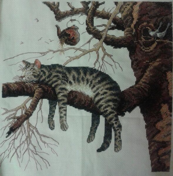 ДИМ Слишком устал