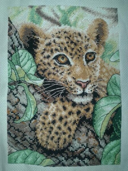 ДИМ "Детеныш леопарда"