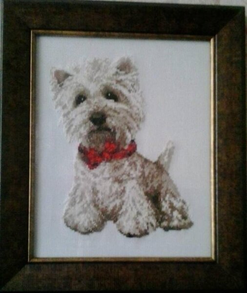 10298855 10152068697636437 7401171734951982334 n
Зося.