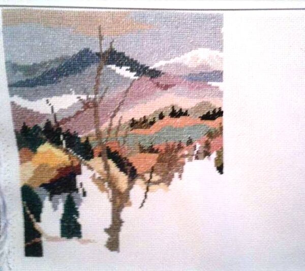 12036564 10153074015576437 5789328792623724038 n