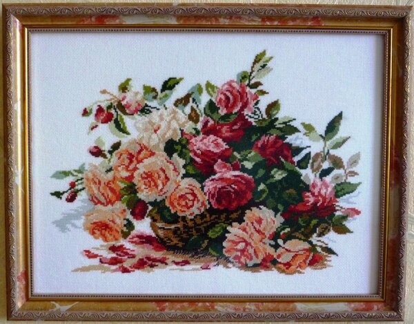 Алиса .Розы.