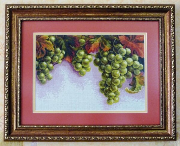 Виноград ЧМ