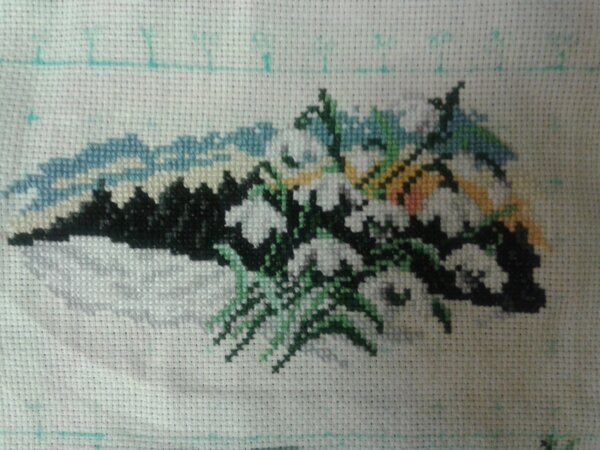 Январь. Робин для Настасьи