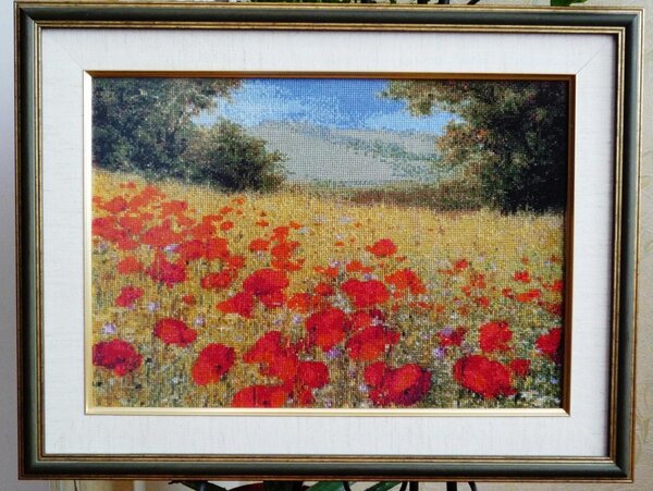 Маковое поле