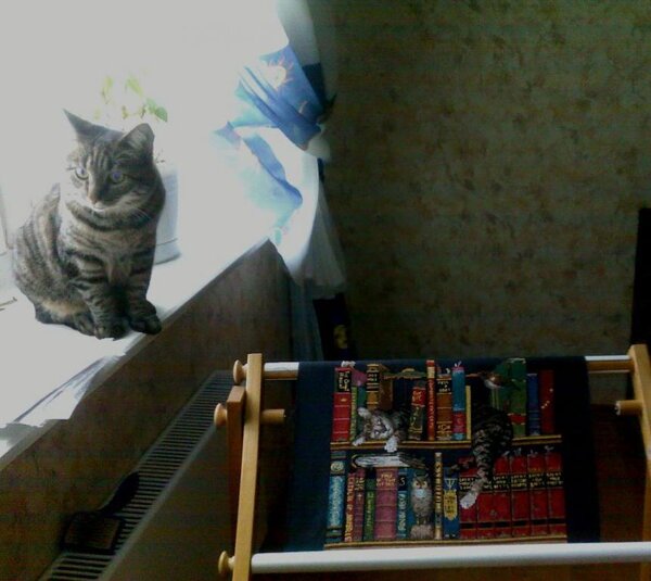 28782 10151101742221437 1528235118 n
Роня позирует))