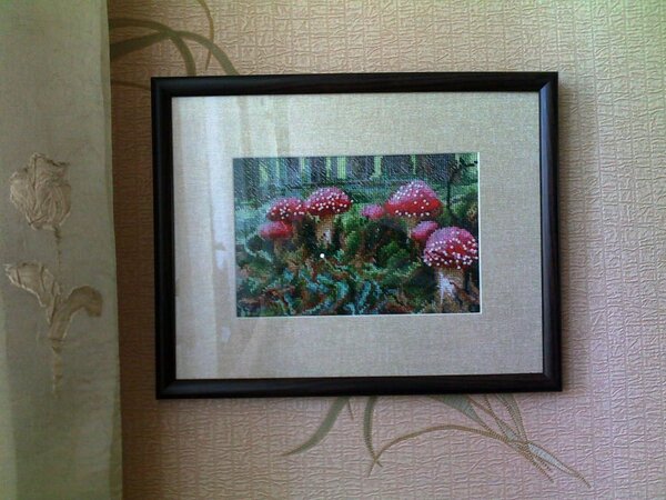 311083 10150294047511437 1960777419 n