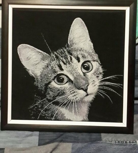 Это моя первая картина. Автор мне не известен, схему скачала в интернете. Размер: 220*220 крестиков. Аида 18, черная. DMC 10 цветов, 1 бленд.  Крестик. Полная зашивка.Не судите строго. Вверху недошиты