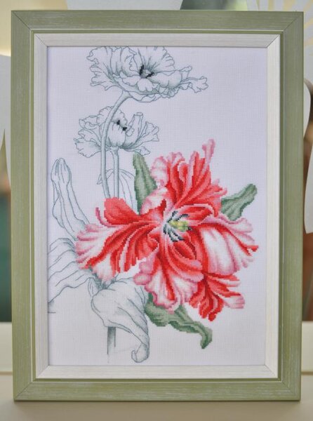 Набор для вышивки крестом Luca-S (Молдавия). Аида 16. 28 цветов. Частичная зашивка. Техника: Крест, полу-крест, бэкстич.