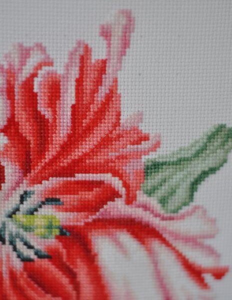 Набор для вышивки крестом Luca-S (Молдавия). Аида 16. 28 цветов. Частичная зашивка. Техника: Крест, полу-крест, бэкстич. Фрагмент.