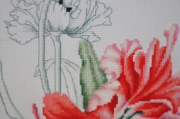 Набор для вышивки крестом Luca-S (Молдавия). Аида 16. 28 цветов. Частичная зашивка. Техника: Крест, полу-крест, бэкстич. Фрагмент.