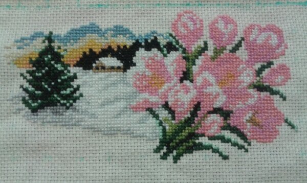 Робин для Насти. Февраль