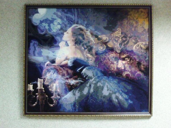 SP A0993 ночной гость