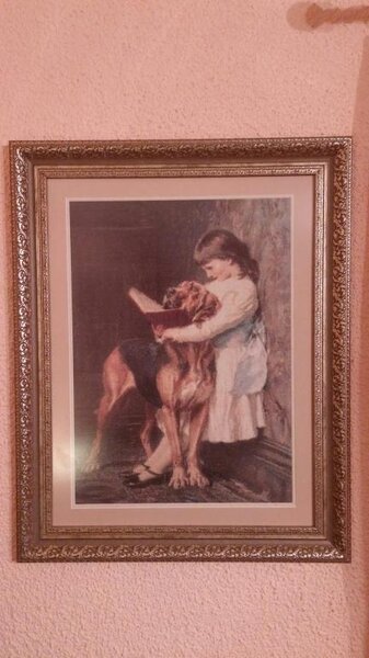 golden kite
девочка с собакой
схема из сайта