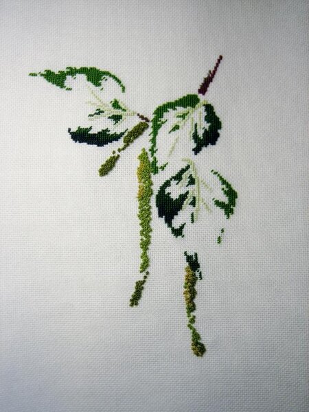 MTSA "Веточка березы"