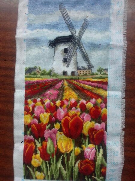 Анхор. Тюльпаны Голландии.