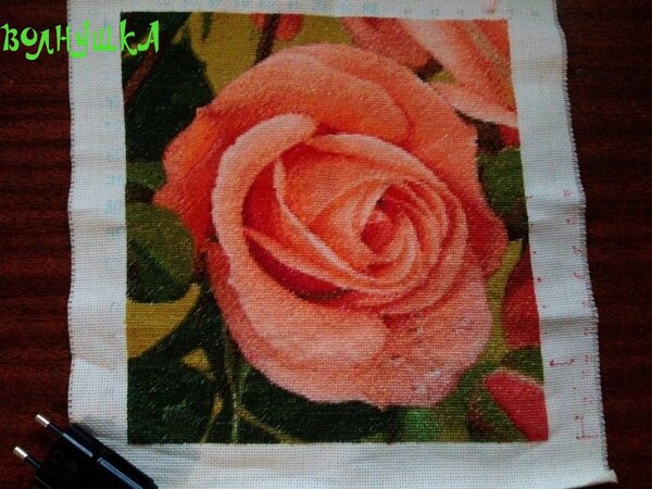 Голден Кайт№450.New pink rosa.