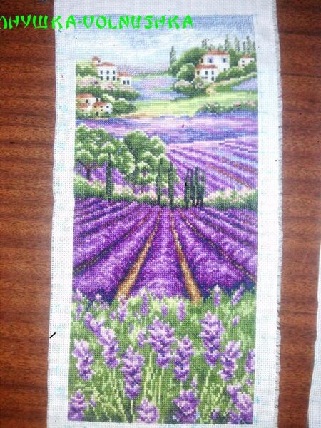 Анхор. Лавандовое поле.