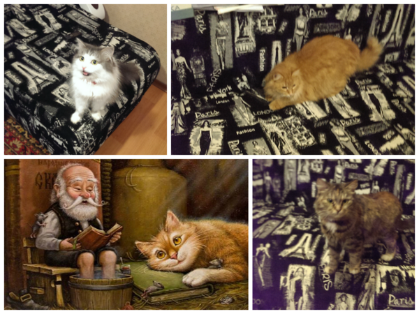 Душечка, Марта,Матильда.