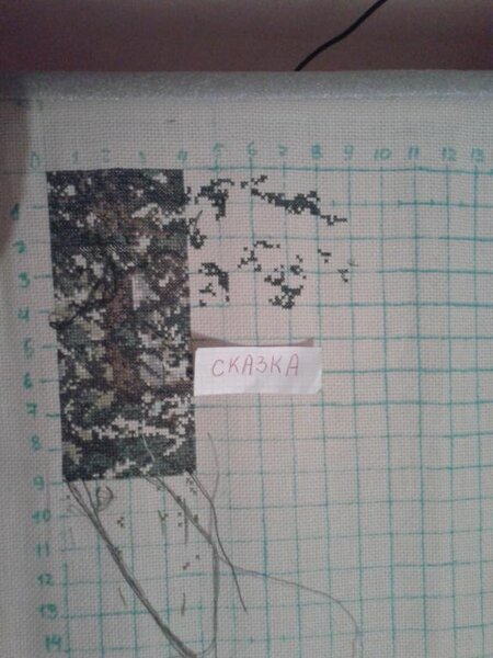 Утро в сосновом бору. ЗР.