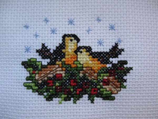 Птички 6 10.12.2010