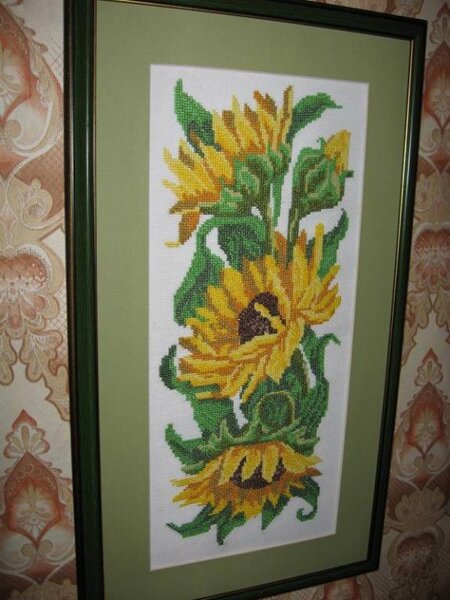 подсолнухи