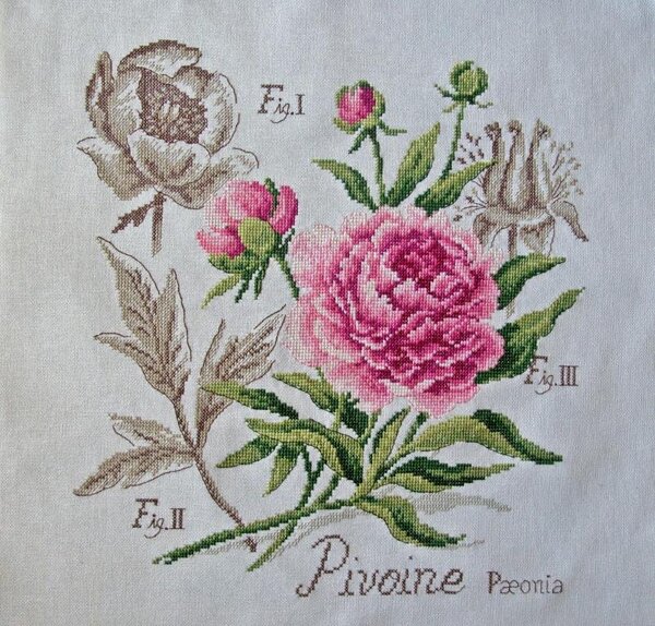 Пион от Vеrоniquе Еngingеr из серии "Ботаника"