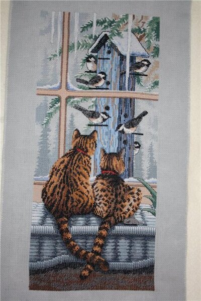 кто за кем наблюдает Дим