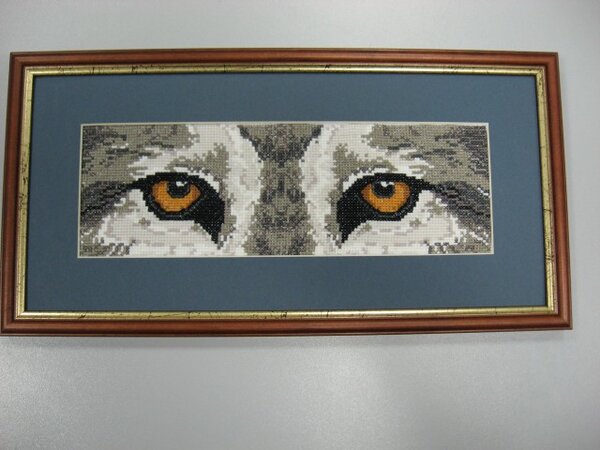 глаза волка