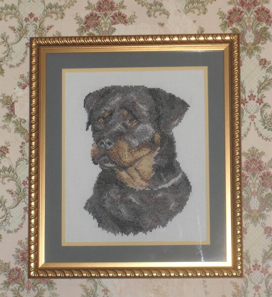 Мой любимый Фредди