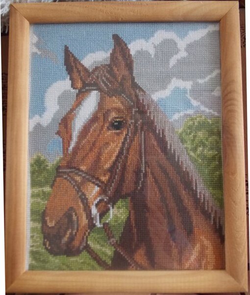 Лошадь (Матренин посад)