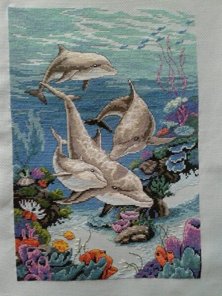 Дельфинье царство (Дименшенс)