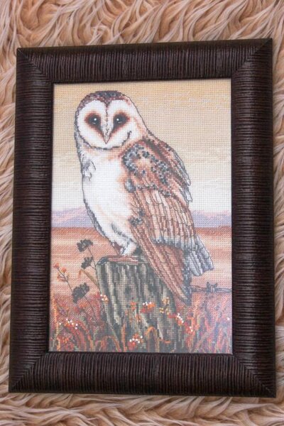 10382557 761555900549495 6305587092401398221 o