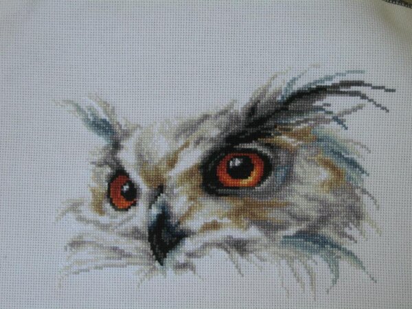 10456053 711285172243235 1013179135958548630 n