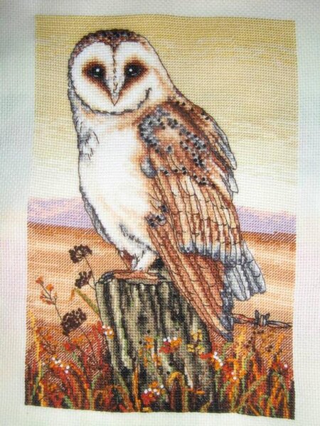 10599143 747927145245704 5900139802729140494 n