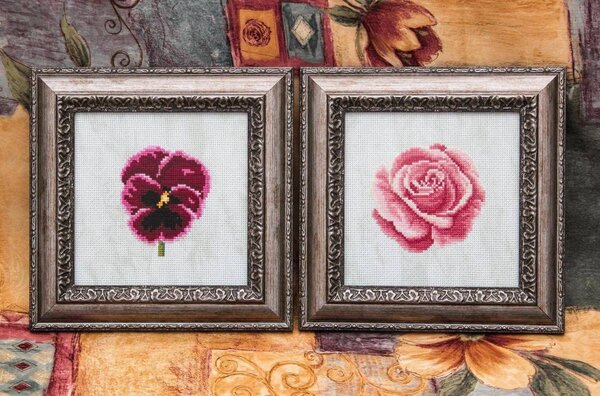 10631077 761555897216162 9139621468405357338 o