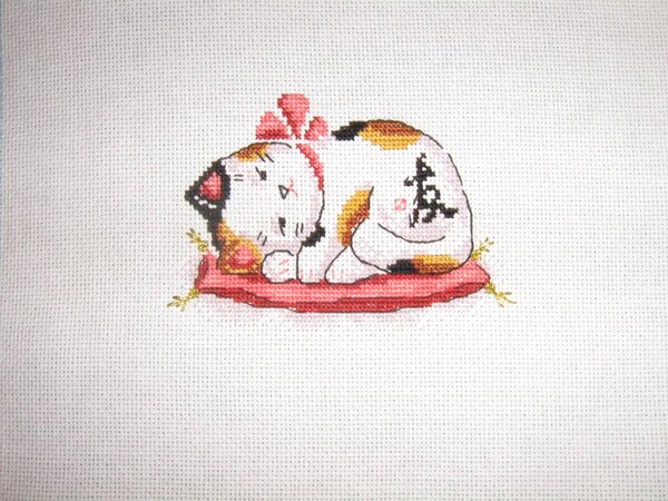 10669133 766885930016492 9205881571017443537 o