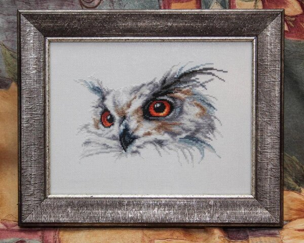 10710444 761555903882828 3222838029045281914 o