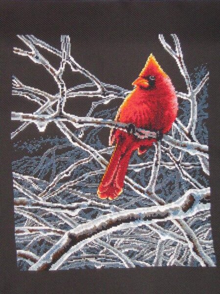 10857214 804083042963447 2709392502364679480 o