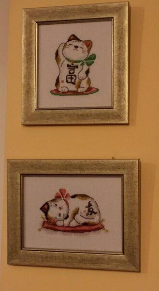 11425114 888432927861791 4301849056556315922 n