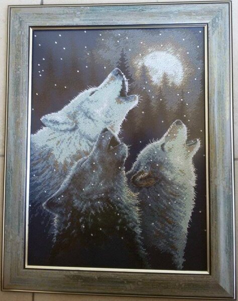 11728805 913700265335057 1573280957120498619 o