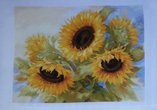 12239369 965930596778690 3370650491935703657 o