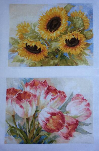 12265779 965930593445357 712123155745620270 o