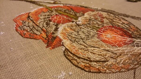 12494724 998810050157411 6477423241642990658 n