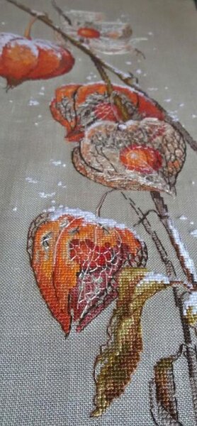 12496065 998810076824075 7793603760954650396 o