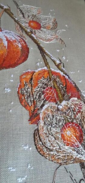 12548953 998810043490745 977236927313801799 n